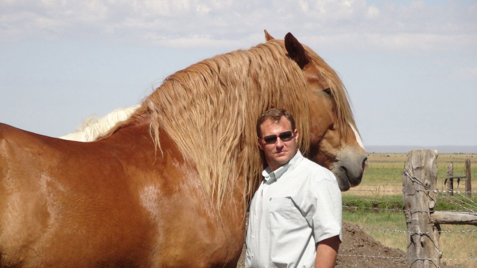 Ben Cunningham with a horse